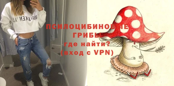 сатива Верея