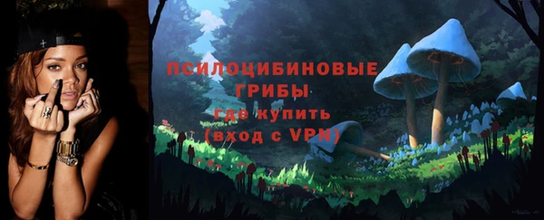 сатива Верея