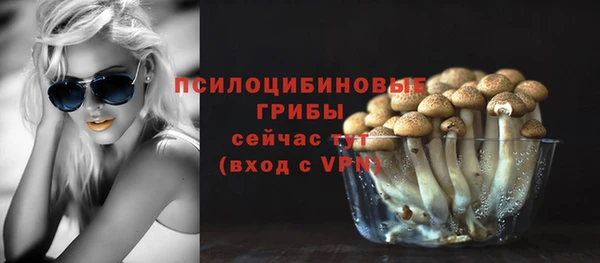 ешки Верхний Тагил