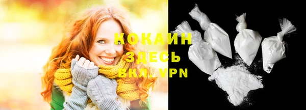 сатива Верея