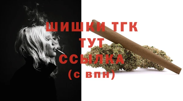 сатива Верея