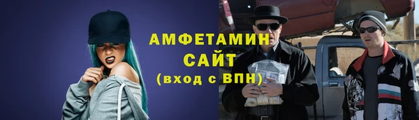 сатива Верея